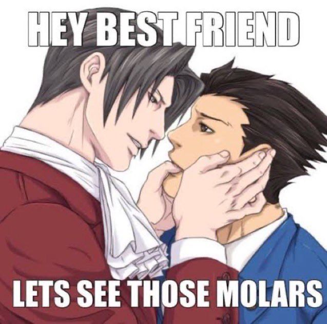 The beloved “Alright best friend let’s see those molars” narumitsu/wrightworth picture