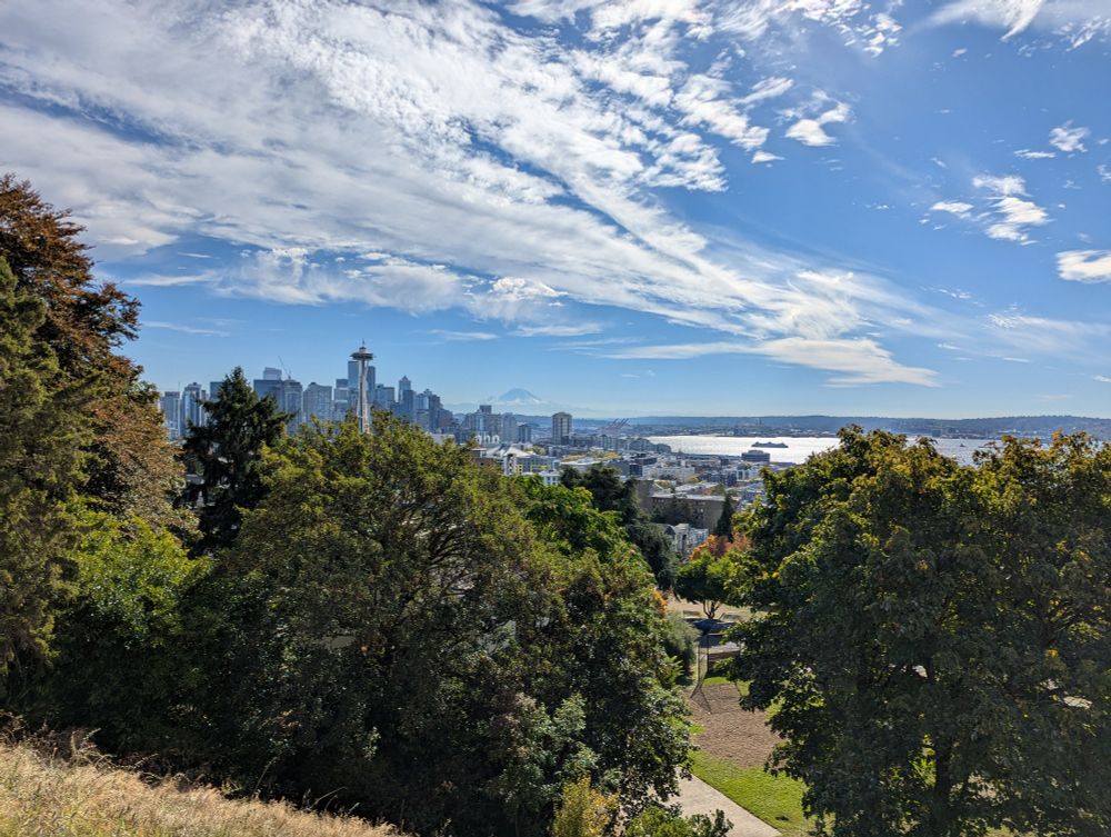 View of Seattle skyline from Kerry park, with trees in the foreground.