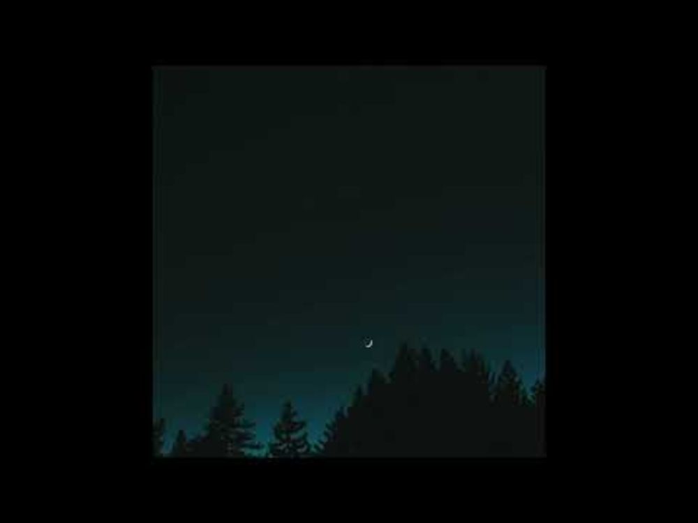 Sally / ThreeCoolCats（2020年）