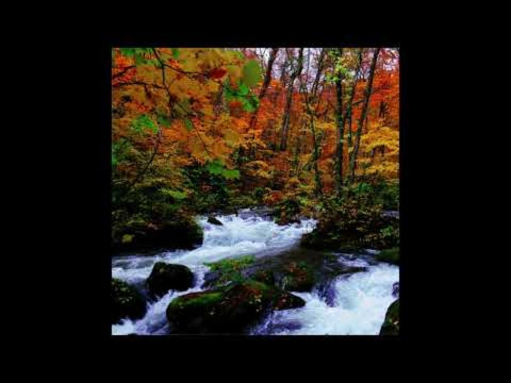 秋は流れ / ThreeCoolCats（2021年DEMO）