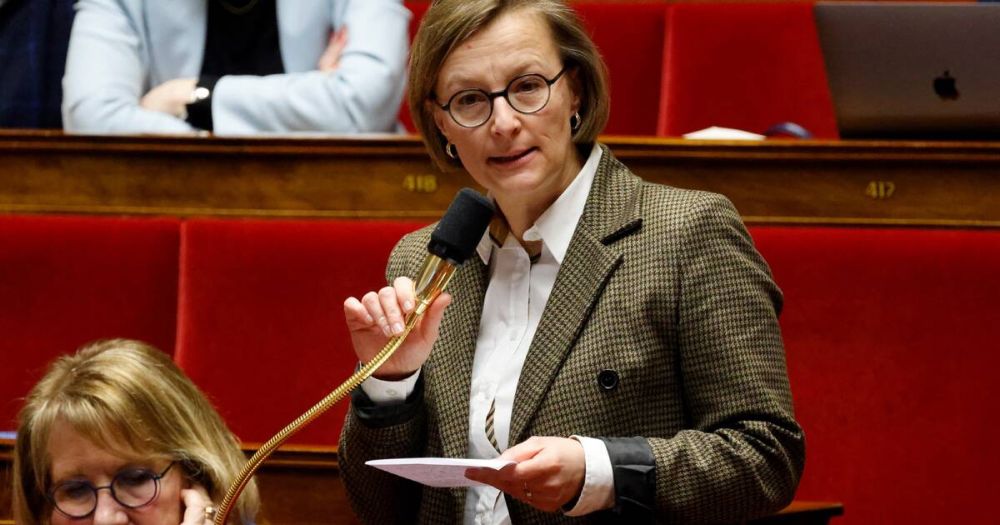 «Trop loin de mes valeurs» : mal à l’aise avec le soutien à Michel Barnier, la députée Stella Dupont quitte le groupe macroniste