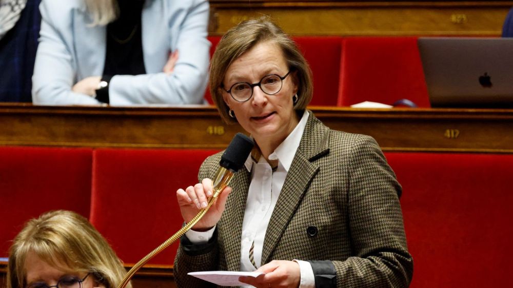 La députée Stella Dupont quitte le groupe macroniste pour des désaccords de fond et dénonce "l'emprise du RN sur le gouvernement"