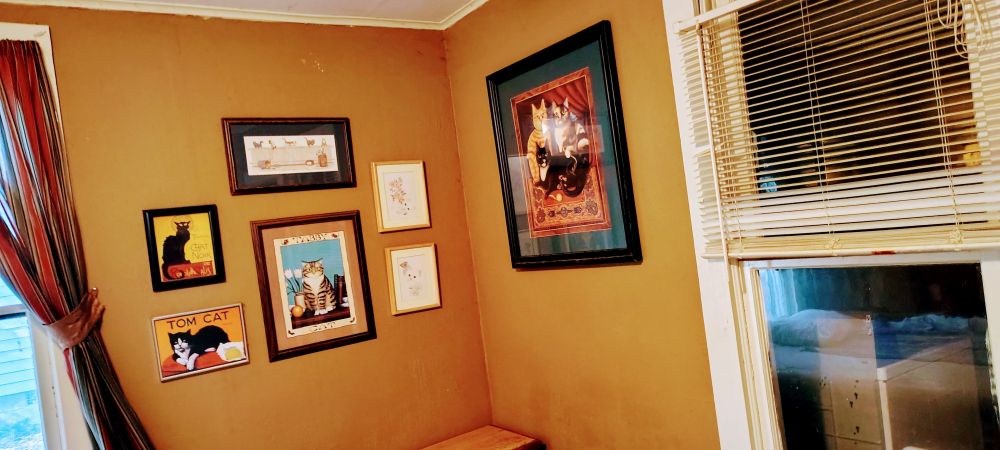 The back wall of the deity's shrine, showing six cat pictures, one very large, centered on the north wall.