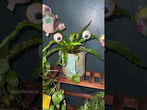 Do you need some Plant Peepers? 🪴 These are guaranteed to bring a smile to your favorite 🌱 plant.
