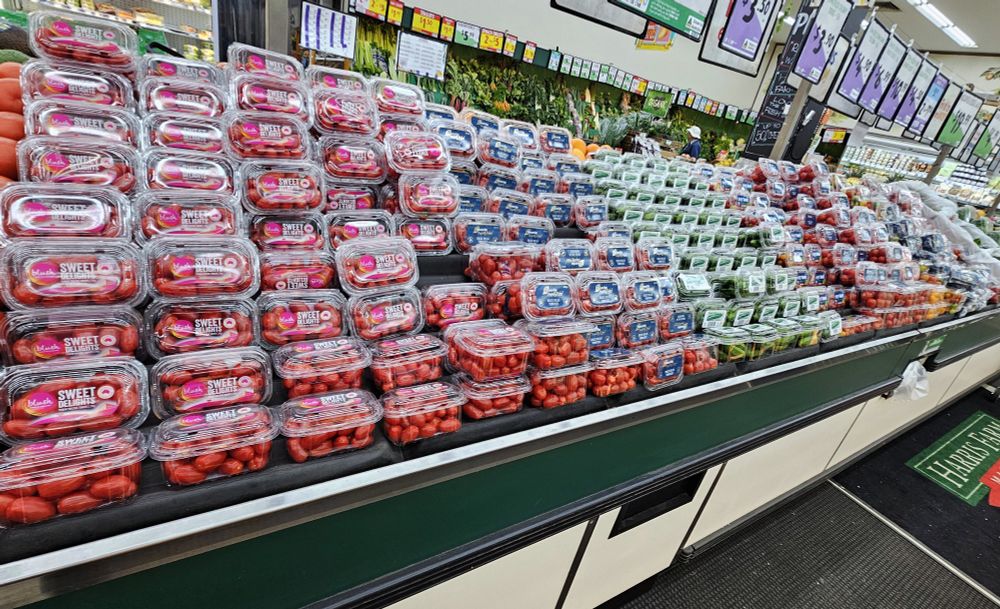 Grocery store with a large row of vegetables packed in small plastic containers.