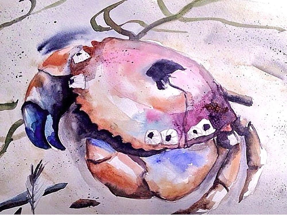 Watercolor crab illustration