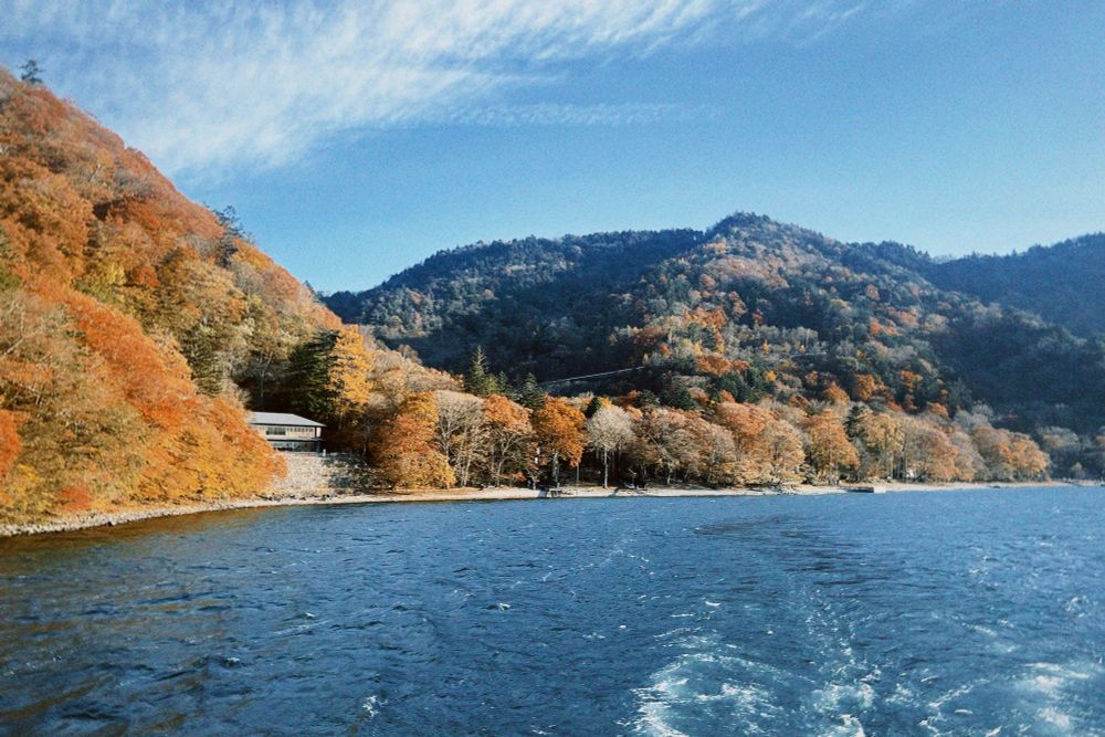 湖上から見る紅葉した山々