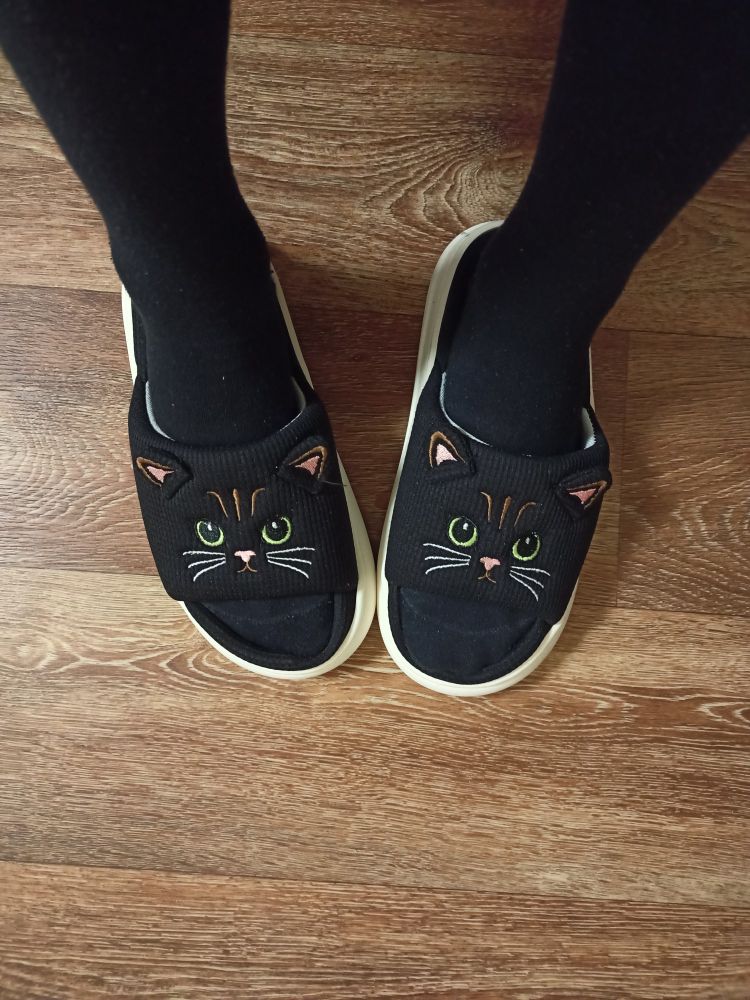 Cat slippers