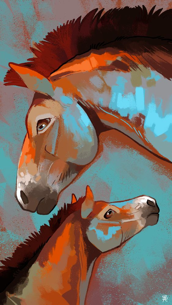 Un cheval sauvage ancestral de Mongolie. Il mesure 1,30 au garrot et sa robe est bai dun.