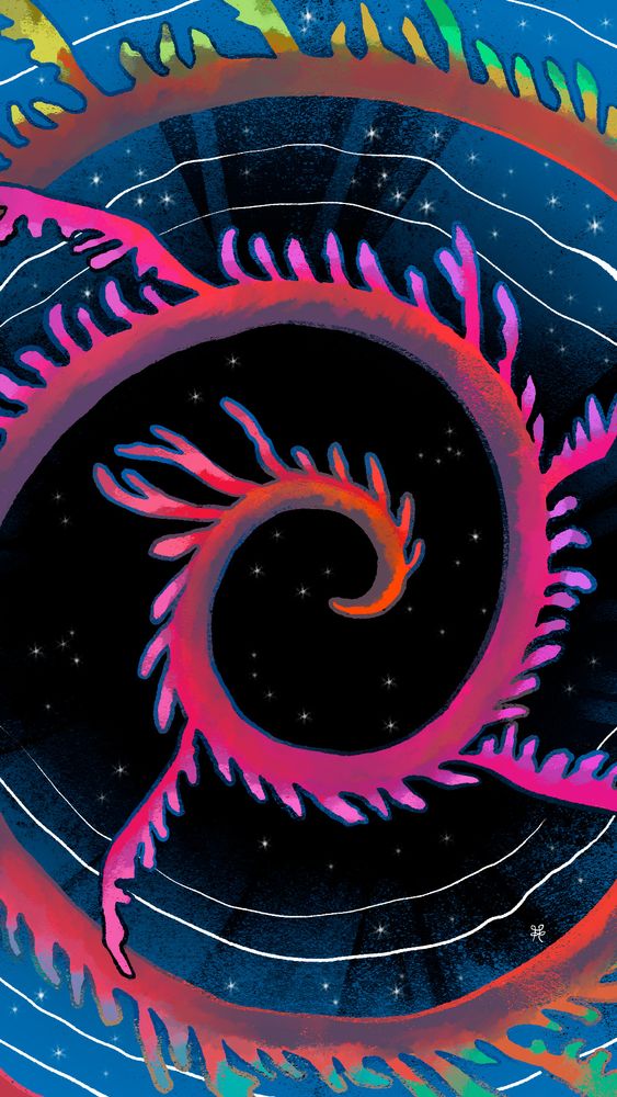 Un ver marin apparenté aux échinodermes (famille des oursins). Il a été découvert par Elizabeth Gray, exemple marquant des femmes pionnières en paléontologie, époque où l'accès au savoir scientifique leur était restreint.