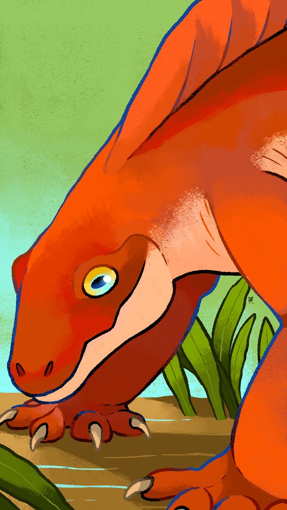 Proche parent du Dimétrodon, il vivait au Permien inférieur.