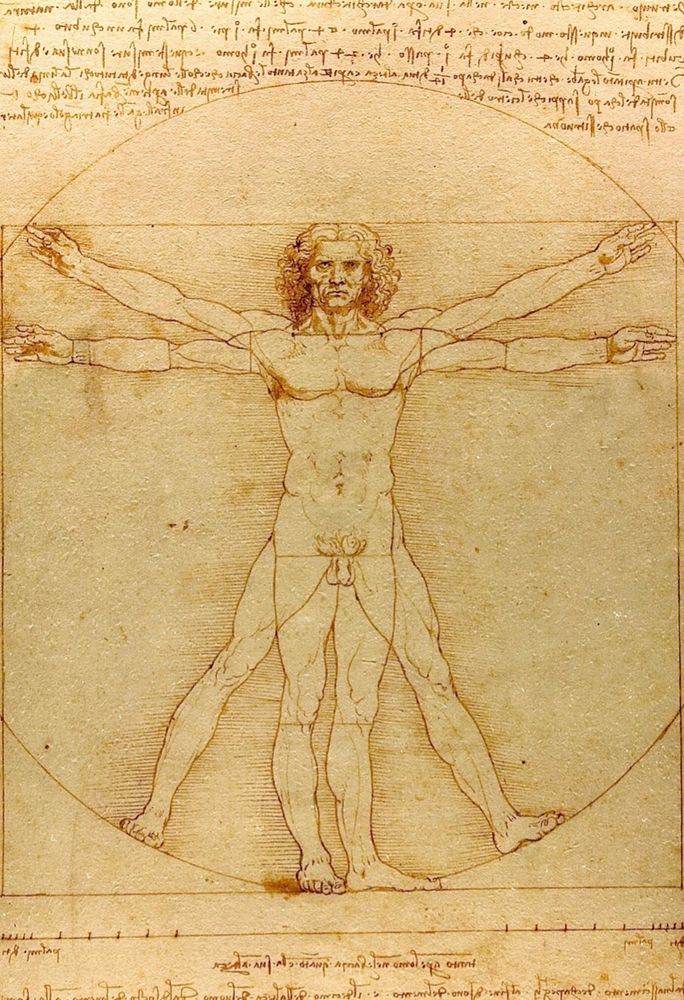 Leonardo da Vincis bild