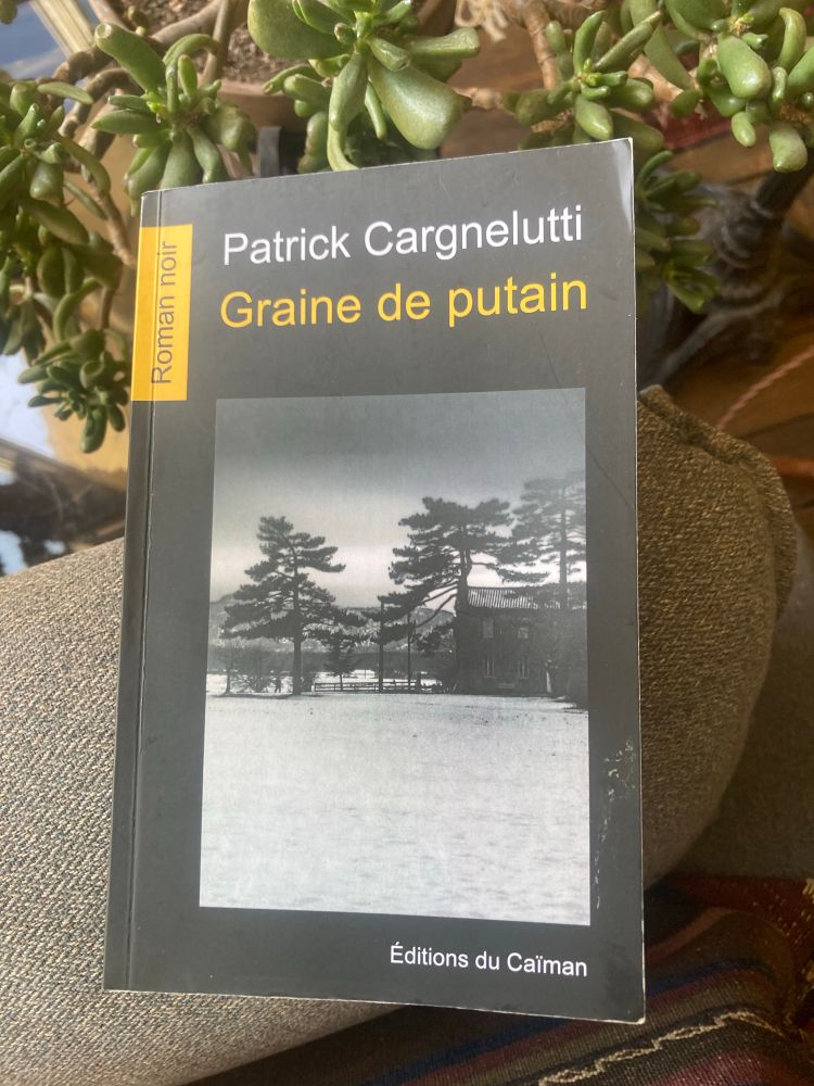 Couverture du roman noir de Patrick Cargnelutti aux éditions du Caïman. Illustration de couv : paysage froid et désolé, trois arbres surplombant un vieux bâtiment, on distingue à peine une silhouette humaine. 