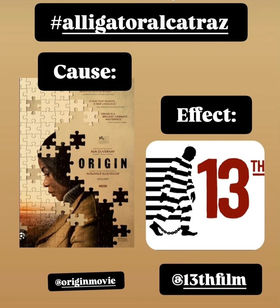 Posters for origin movie and 13th documentary labelled cause and effect 