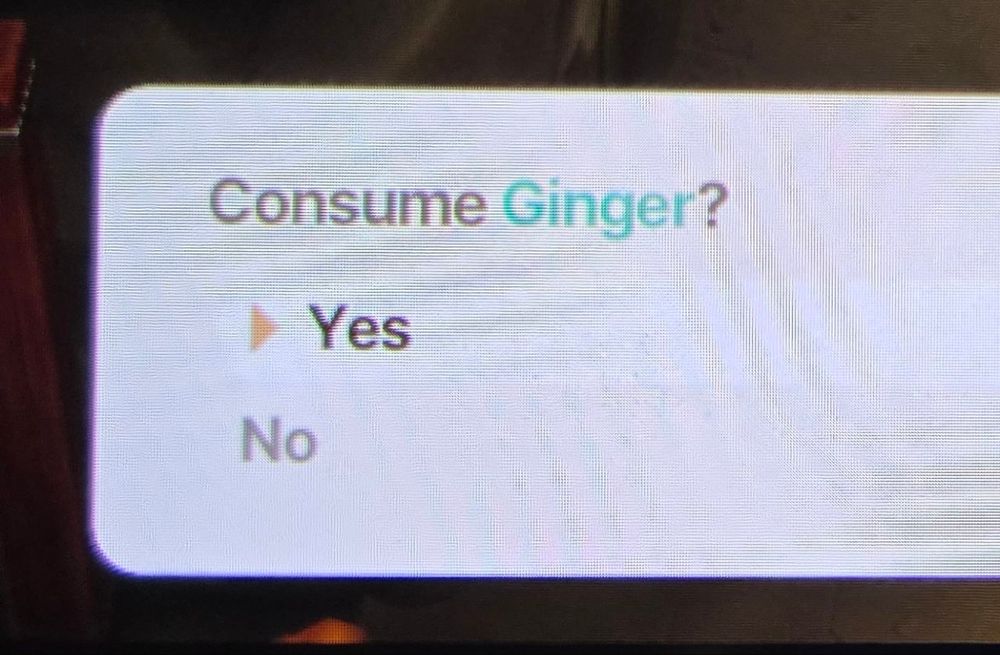 A menu in Coral Island. 

The prompt "Consume Ginger?" with yes or no as options. Yes is highlighted 
