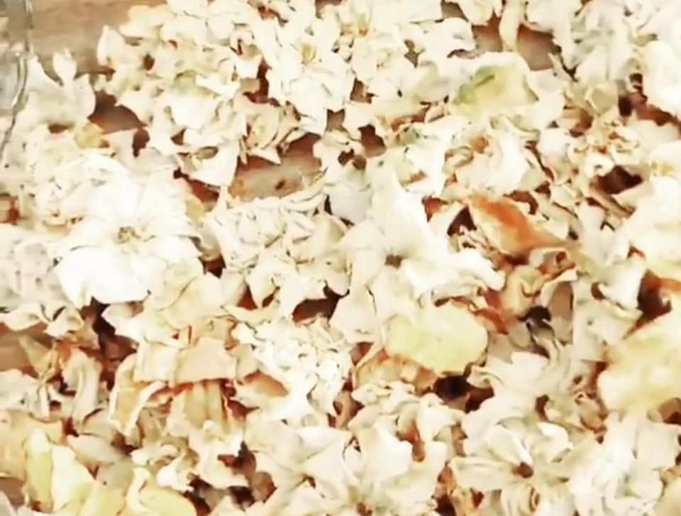 Pictured is a large amount of dried gardenia flower petals. 