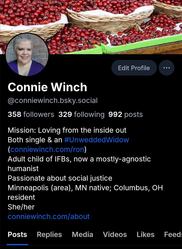 A screenshot of the top part of my Bluesky profile.