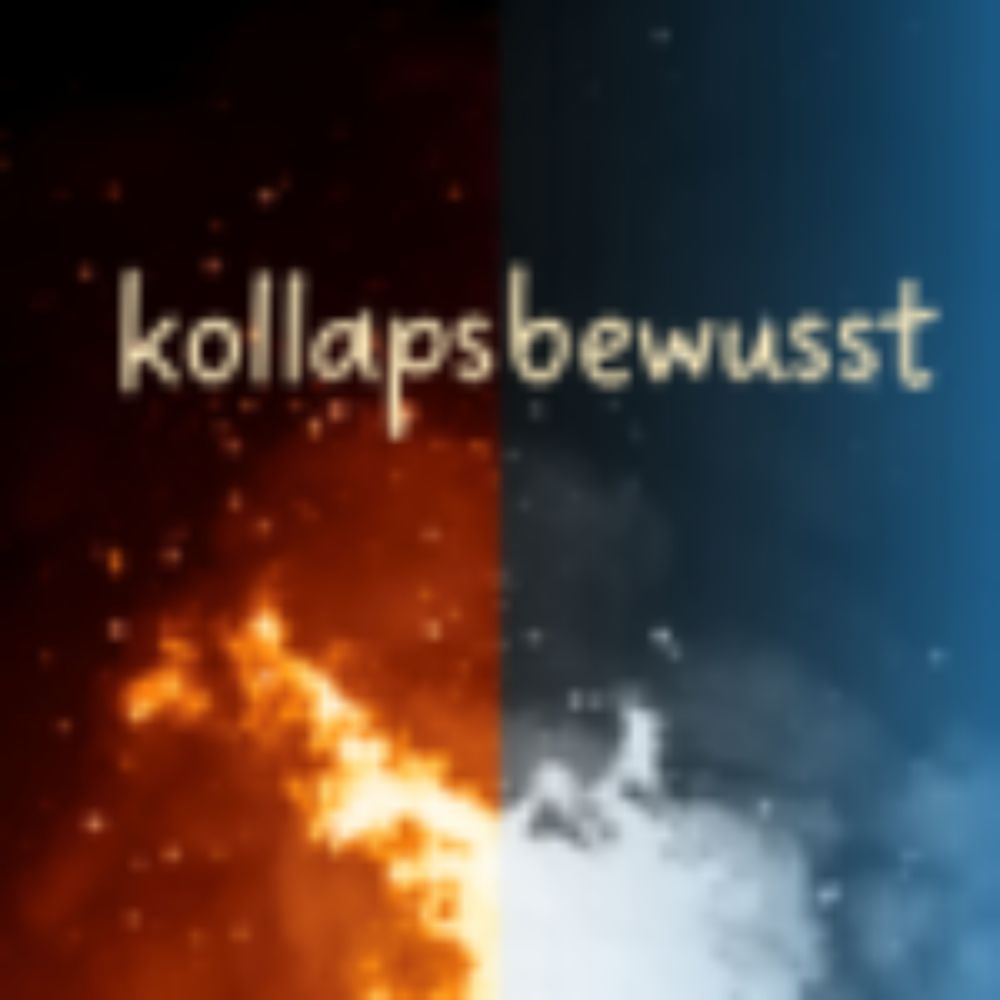 N. aus Wien ~ kollapsbewusst Podcast