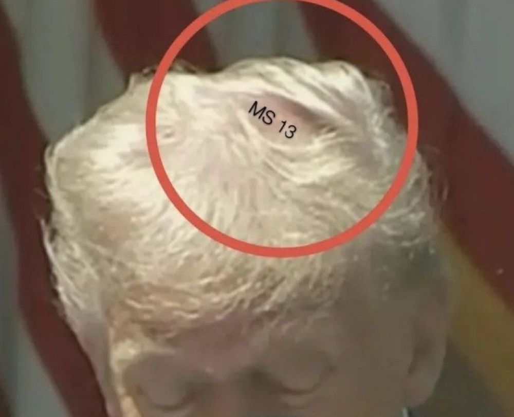 Comment image