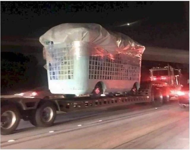 Massive laundry basket