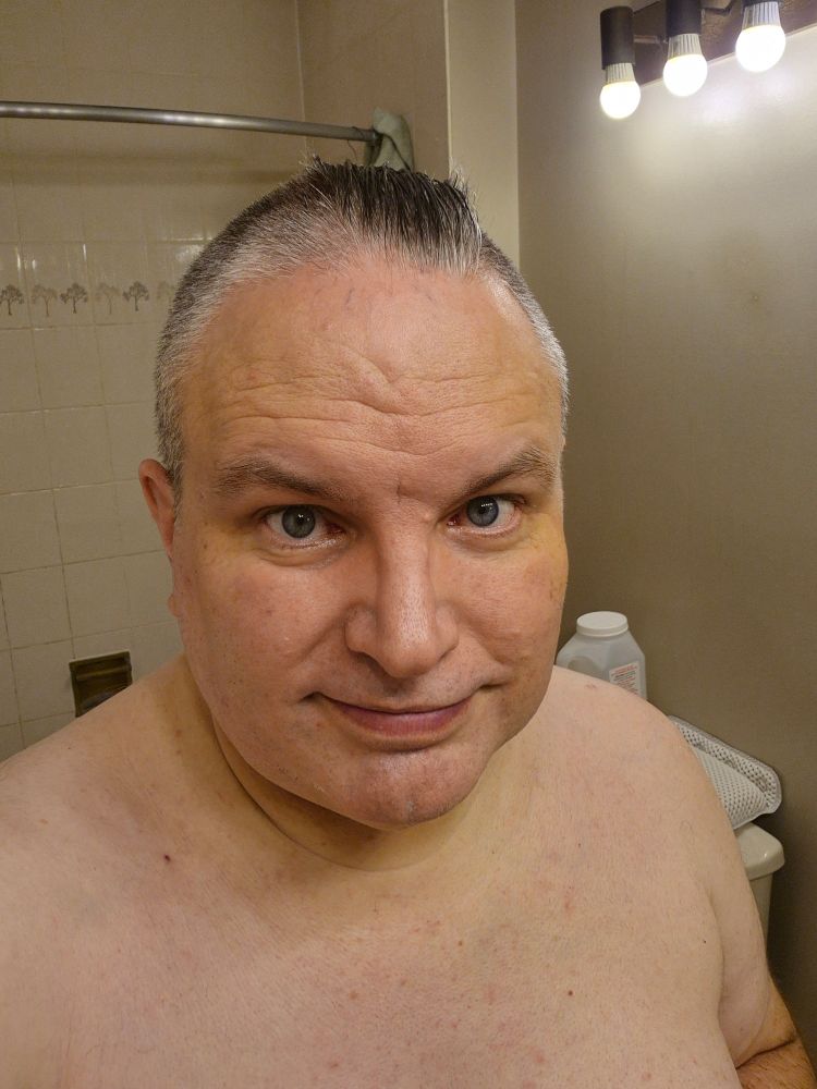 Fox looking contentedly down the lens of the camera.