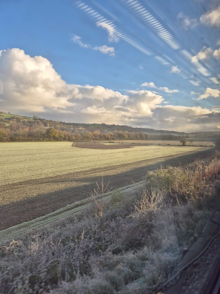 A landscape view of a frosty field. Behind it are a row of autumnal coloured trees. Above is a blue sky with white clouds. In the top right corner is the reflection of some lights.