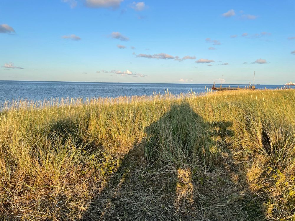 Der Schatten von 2 Menschen, die sich auf einer Bank am Meer gemeinsam den Sonnenuntergang ansehen.