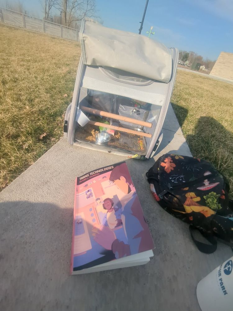 Book that says "Trans Technologies by Oliver Haimson", a backpack made for pets with a red and green lovebird eating millet, and a small shoulder bag with mushrooms on it all on a concrete bench surrounded by grass
