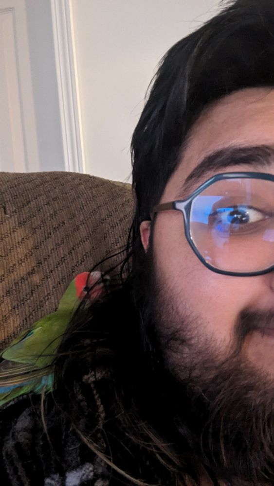 Side of a man's face with long hair, a beard and glasses. There is a little red-faced and green-bodied lovebird on his shoulder covered in the man's hair.
