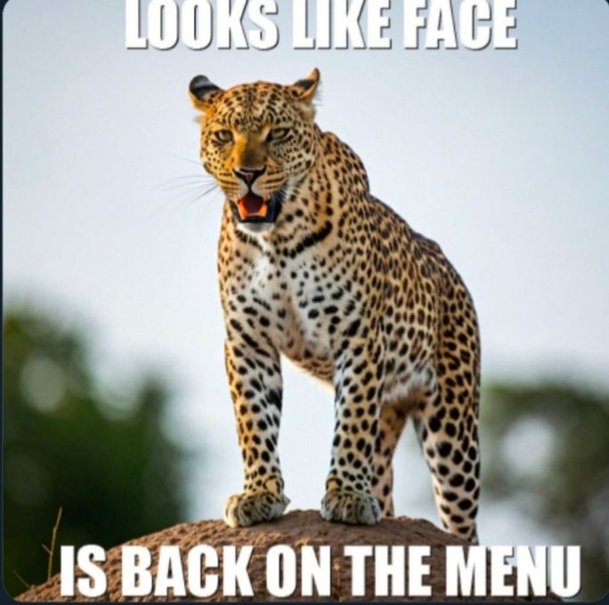 Comment image