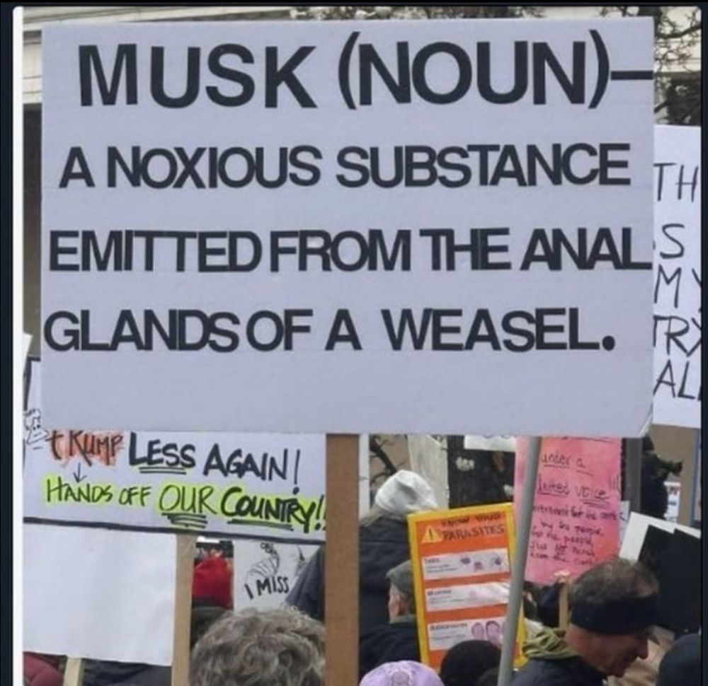 A protest sign which reads like a dictionary definition. It says MUSK, noun: a noxious substance emitted from the anal glands of a weasel.
