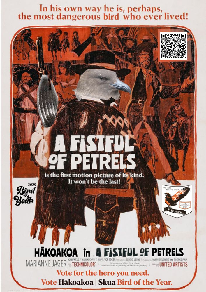 Poster for the movie "Fistfull of Dollars" if the movie was "Fistfull of Petrels" and the lead role was played by a Skua. Behind the reluctant hero, a baddie is sprawling backward, about to meet his maker. The text above the picurre reads "In his own way he is, perhaps, the most dangerous bird who ever lived!" The text below reads "Hākoakoa in A Fistful of Petrels" and "Vote for the hero you need. Vote Hākoakoa | Skua Bird of the Year."