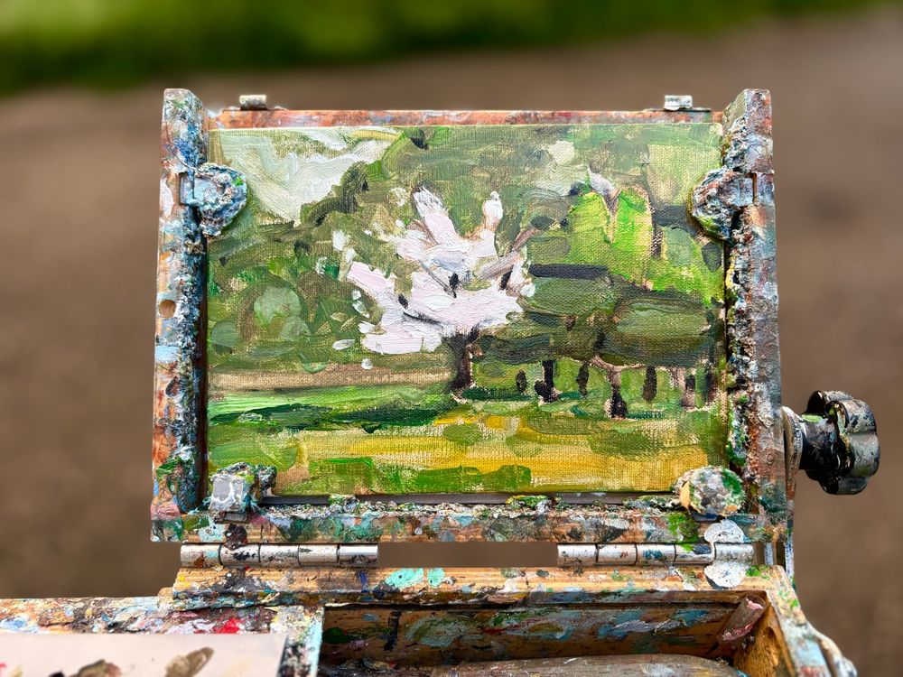 Painting of apple tree in bloom in Umbria Italy 