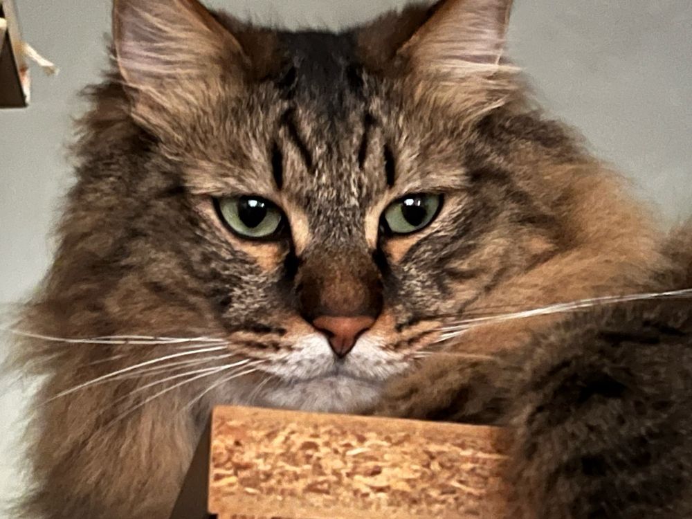 「写真撮らして下さい」って敬語でお願いしてこの顔