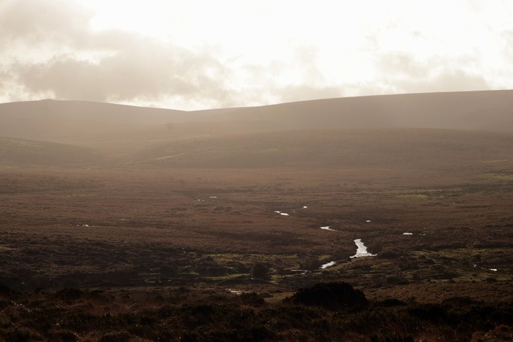 A hazy, warm toned view across the moor, with brown deer grass a rive snaking it's way a long a gentle valley, the sky is bright white from low winter sun