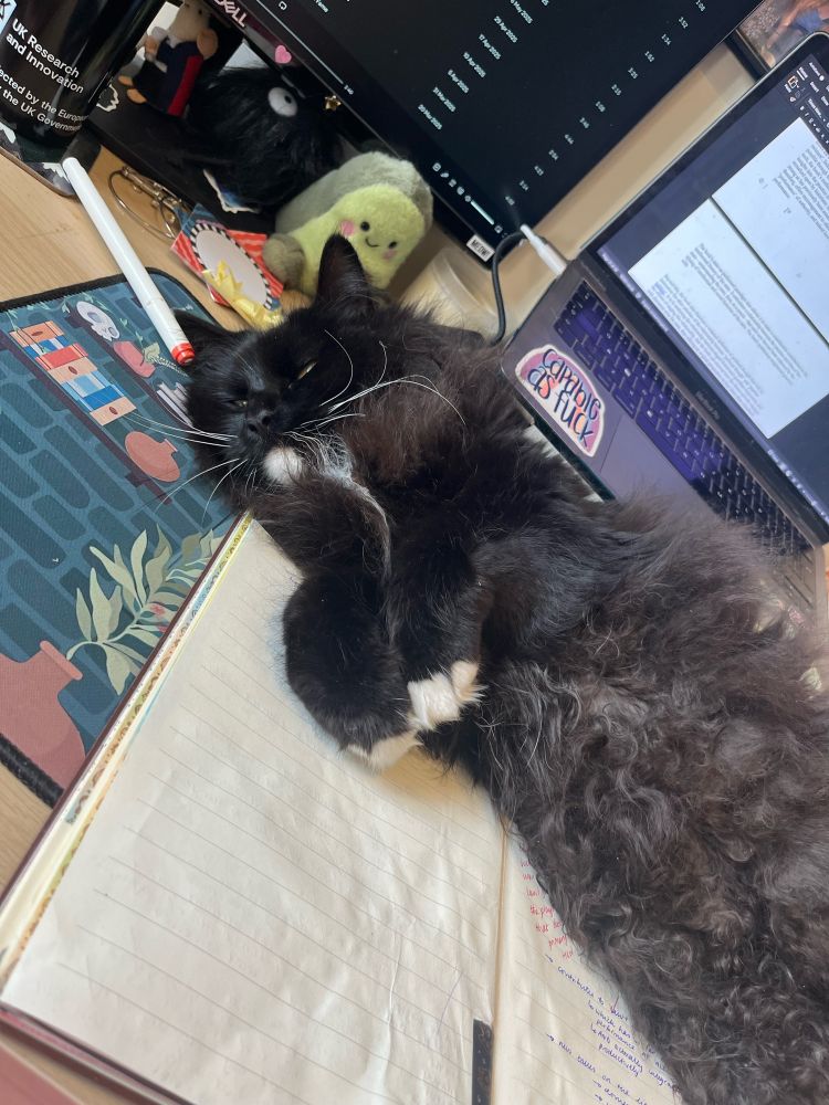A black long haired cat with white-tipped paws and a white chin, lying with his front paws folded on a notebook on a desk, utterly covering his mother’s Bluetooth keyboard. 