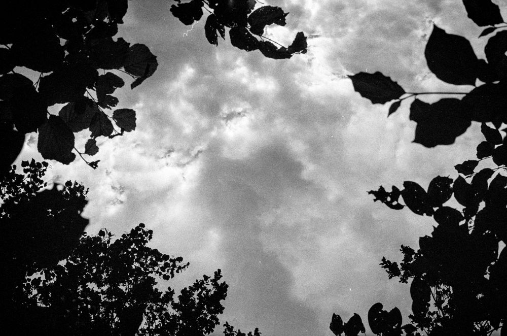 Black-and-white photograph looking up at a cloudy sky framed by the silhouettes of tree leaves and branches around the edges. The leaves create a natural border, while the clouds form soft textures in the center of the frame.