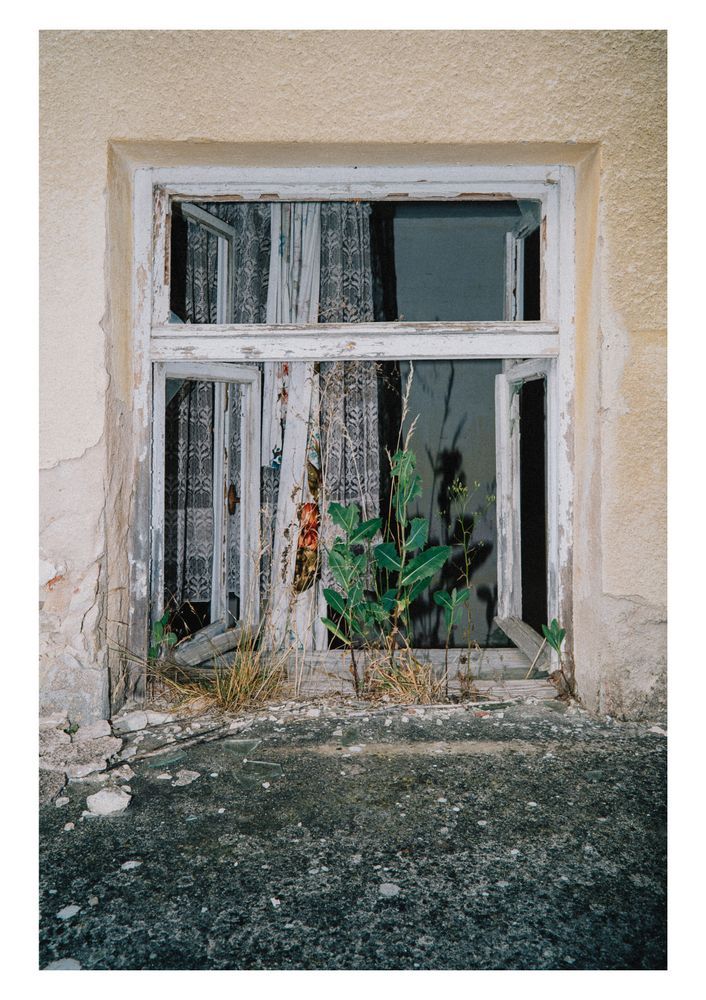 A weathered, broken window in an old beige wall, with cracked paint and overgrown weeds poking through the frame. Inside, faded floral curtains and lace are visible, suggesting long-abandoned occupancy.