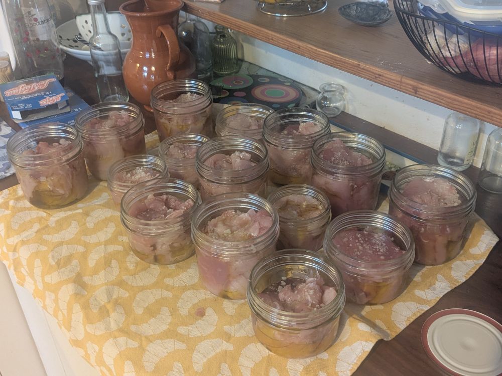 Chair de thon en pots avec huile d'olive et sel,  tous posés sur un torchon jaune