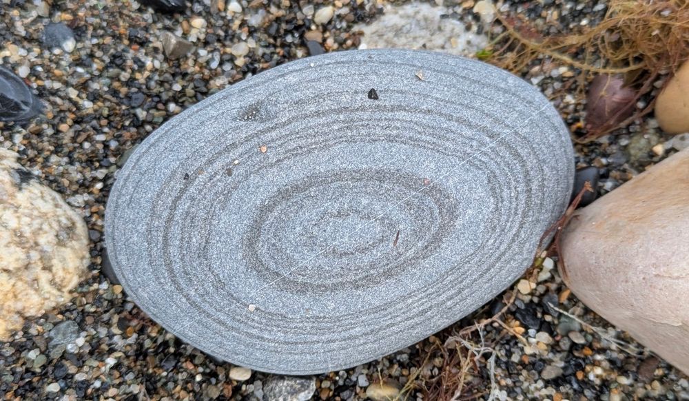 Concentric circles in a rock 