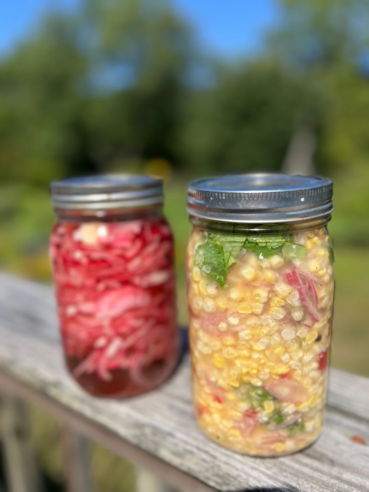 Two quart jars on a wood deck, one with pickled red onions and the other pickled corn.