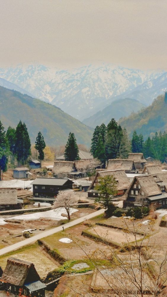 相倉地区、合掌造と桜、雪山