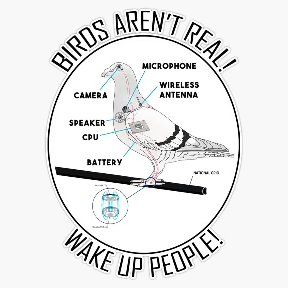 Sticker Birds Aren't Real, avec un pigeon en coupe qui montre qu'il est composé d'une batterie, d'un processeur, d'un haut parleur, d'une caméra, d'un micro et d'une antenne. 