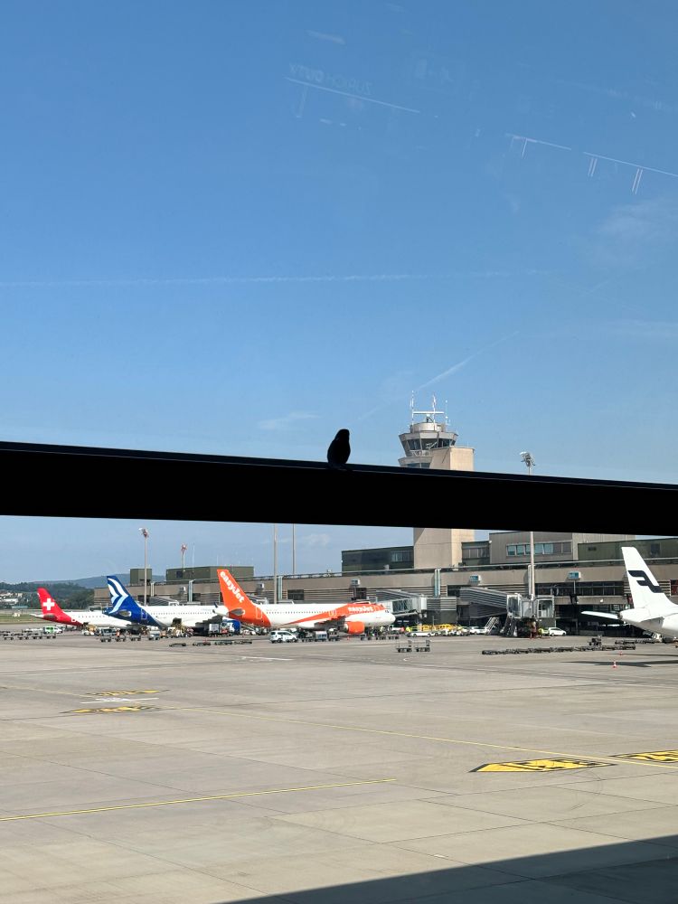 Photograph through the window of an airport departure lounge looking out onto the apron. There is a bird perched on the window sill but the bird is INSIDE the lounge. 