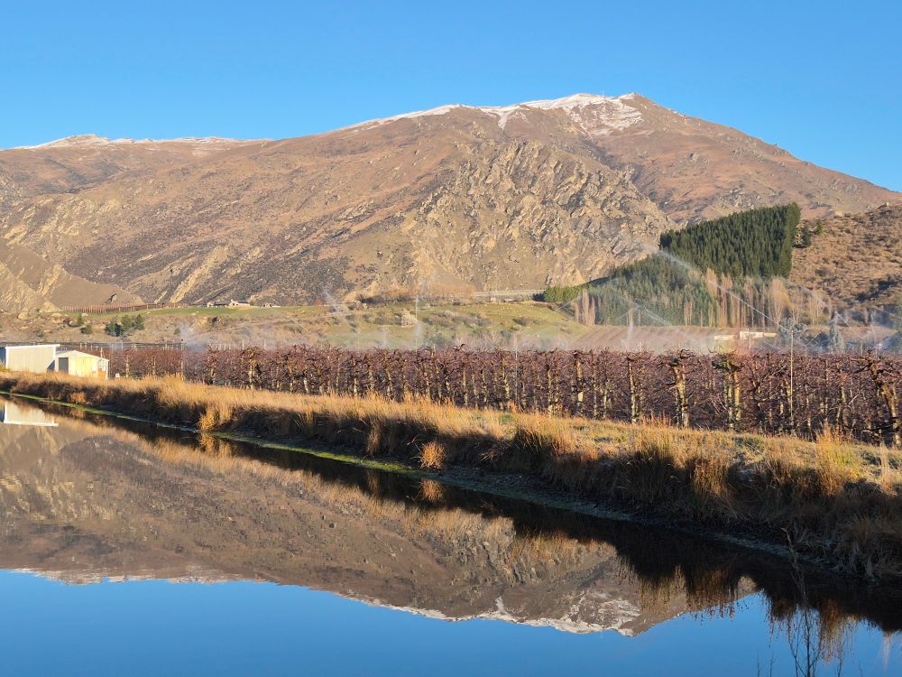 Mountain reflection in a dam with overhead sprinklers spraying water on an orchard 