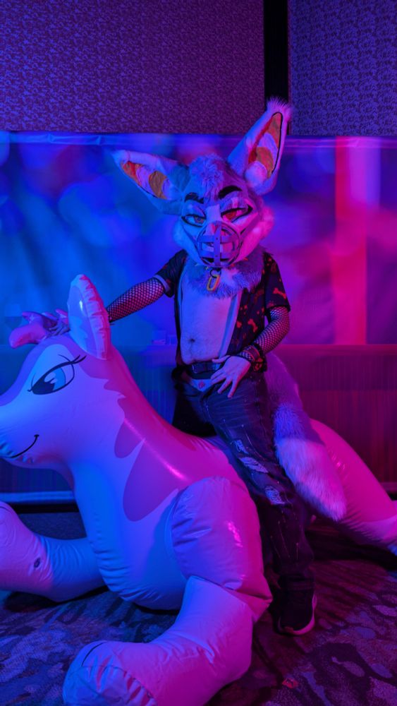 Foxbat fursuiter in a leather muzzle and open shirt on top of an inflatable deer with their fly open to reveal a little secret