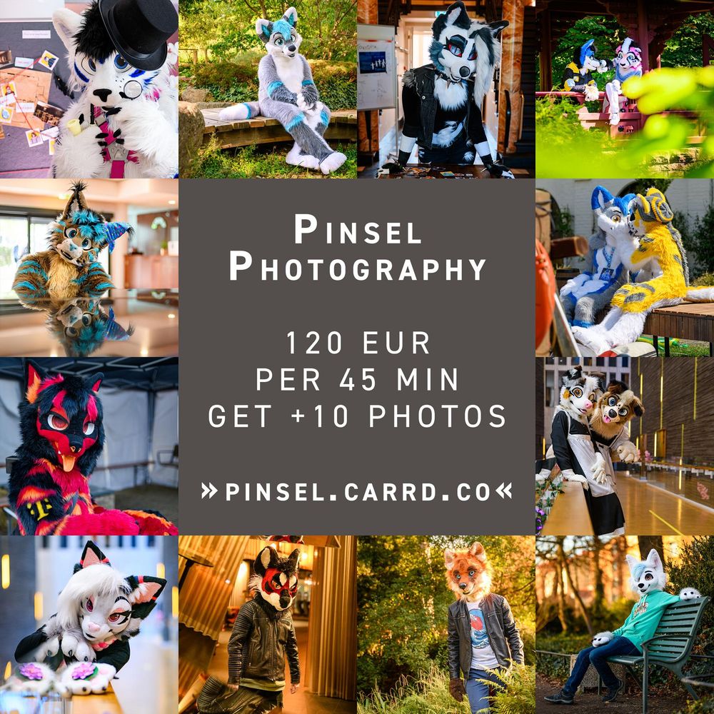 ADvertisement for Pinsel Photography, 120 EUR, 45 minutes, get +10 pictures. See more at pinsel.carrd.co. Surrounded in a square format with various photography examples from previous events. Decorative.