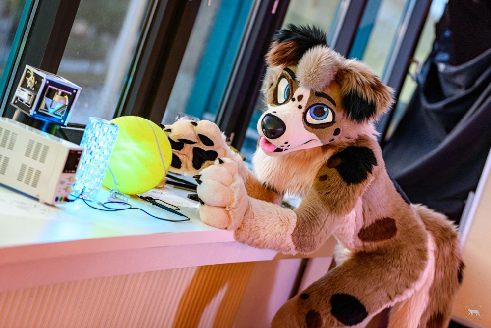 photo of blix fursuiter with a tennis ball