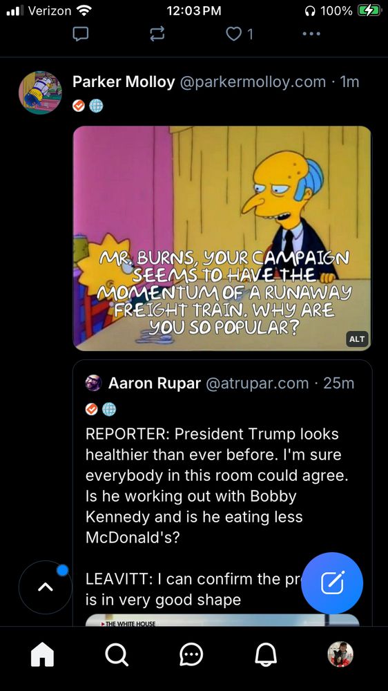 Post from parkermolly containing Simpsons screenshot.
