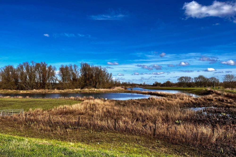 Uitstel is geen afstel: Natuurorganisaties blijven strijden voor Europese natuur